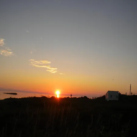 103 - Whale Safari * Andenes
